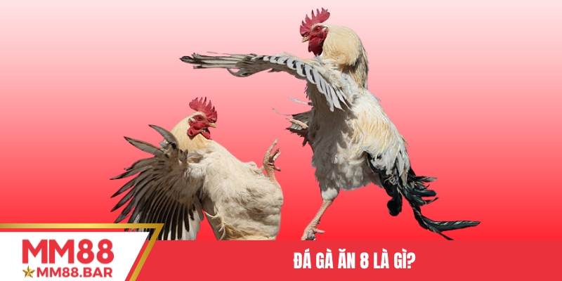 Đá gà ăn 8 là gì?